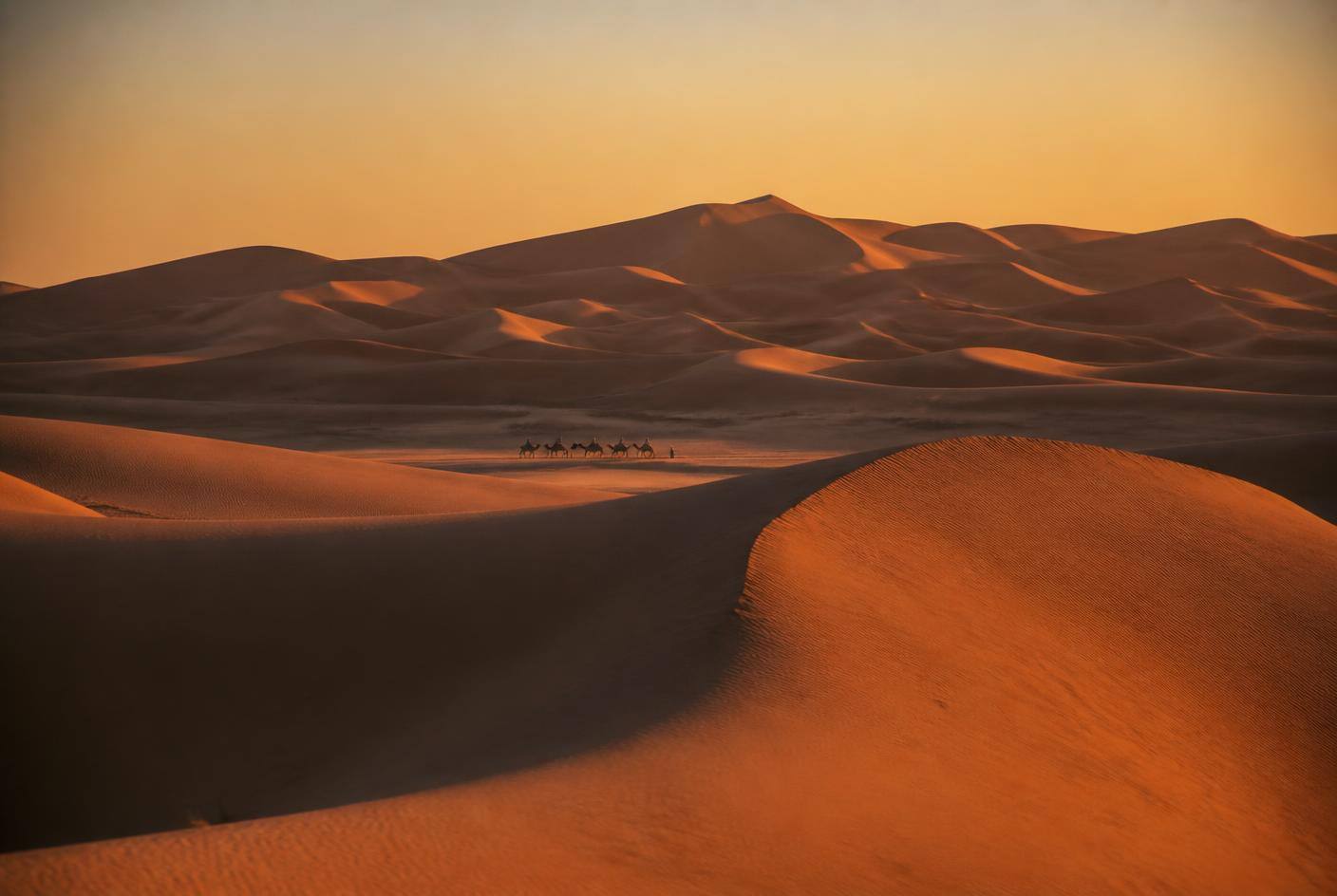 AMAZIR multi-day transportation in Morocco